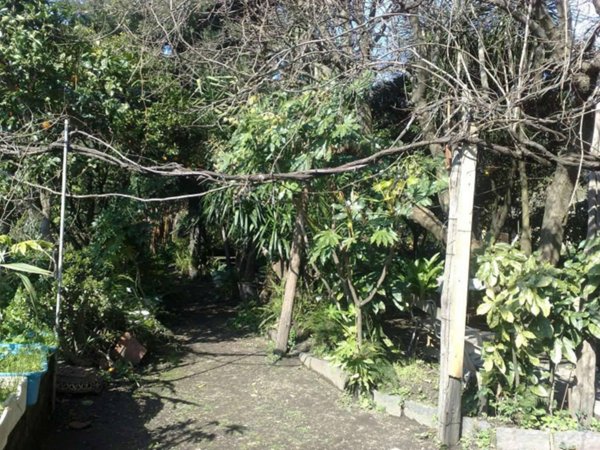 terreno agricolo in vendita a Napoli in zona San Carlo all'Arena