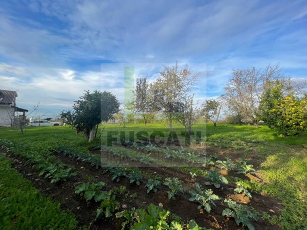 terreno agricolo in vendita a Napoli in zona Chiaiano