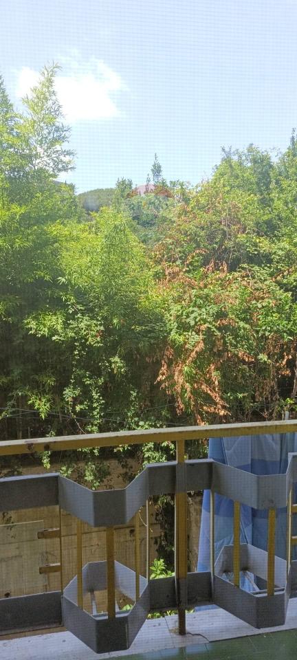 appartamento in vendita a Napoli in zona Capodimonte / Colli Aminei