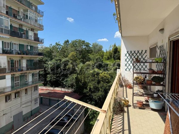 appartamento in vendita a Napoli in zona Capodimonte / Colli Aminei