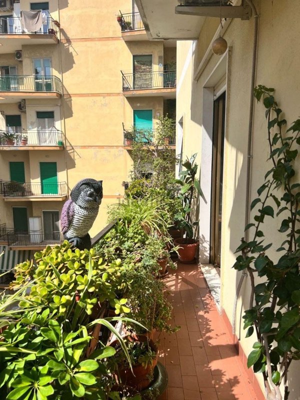 appartamento in vendita a Napoli in zona Arenella