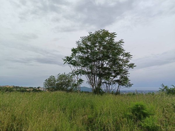terreno agricolo in vendita a Napoli in zona Pianura