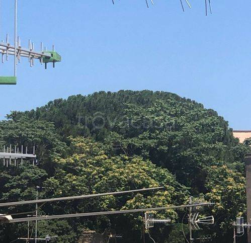 appartamento in vendita a Napoli in zona Stella
