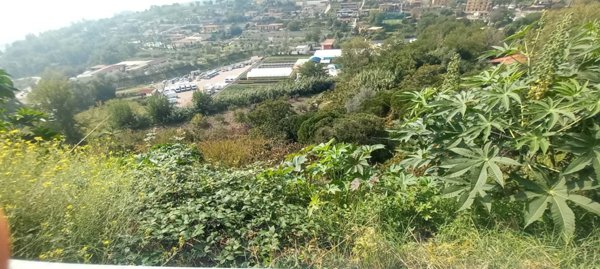 terreno agricolo in vendita a Napoli in zona Soccavo
