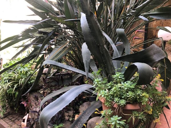 casa indipendente in vendita a Napoli in zona Arenella