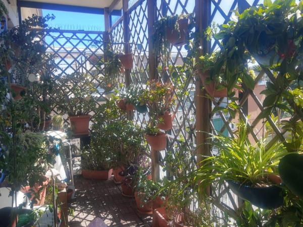 appartamento in vendita a Napoli in zona Capodimonte / Colli Aminei