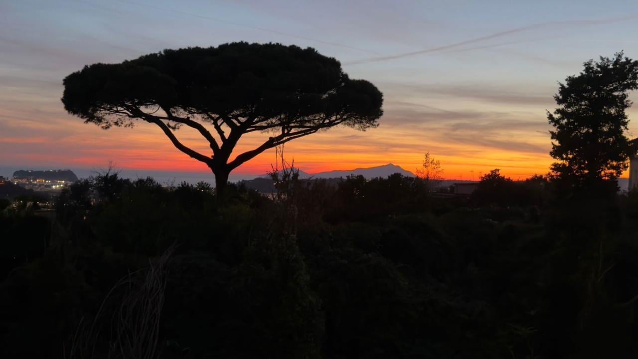 appartamento in vendita a Napoli in zona Arenella