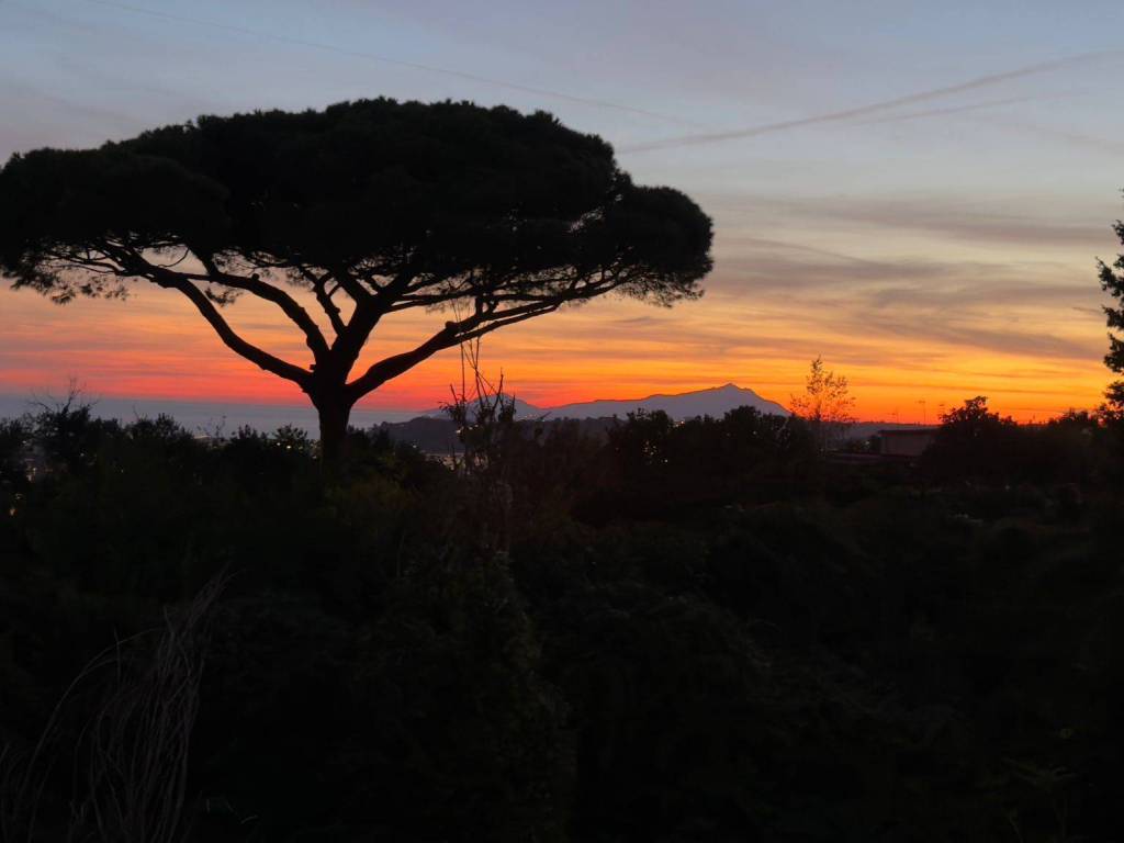 appartamento in vendita a Napoli in zona Arenella