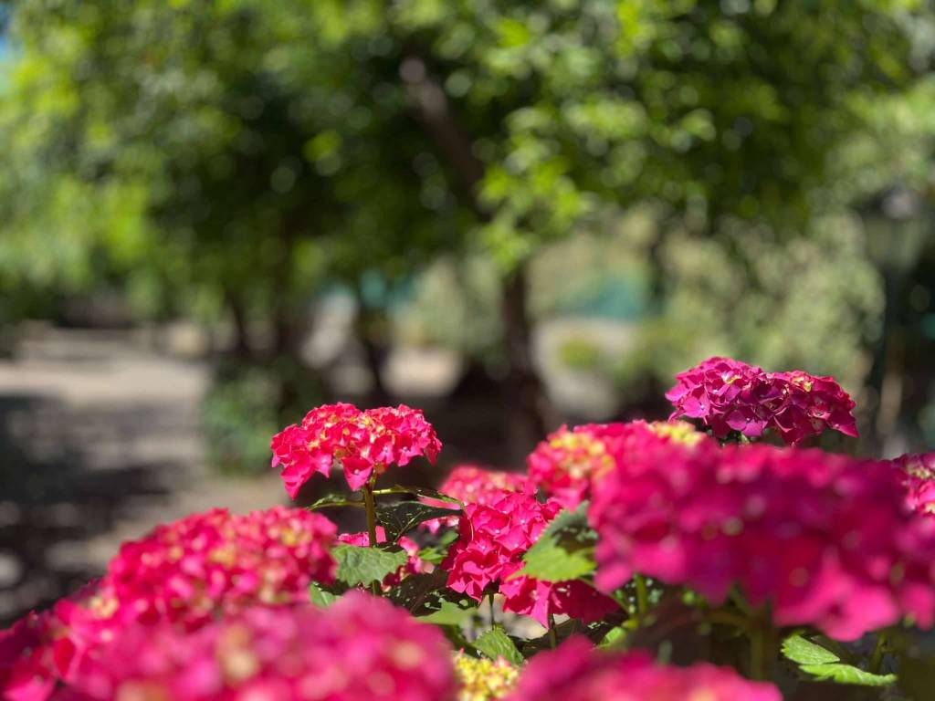 appartamento in vendita a Napoli in zona Chiaia