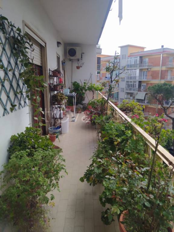 appartamento in vendita a Napoli in zona Capodimonte / Colli Aminei