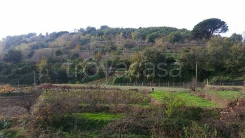 terreno agricolo in vendita a Napoli
