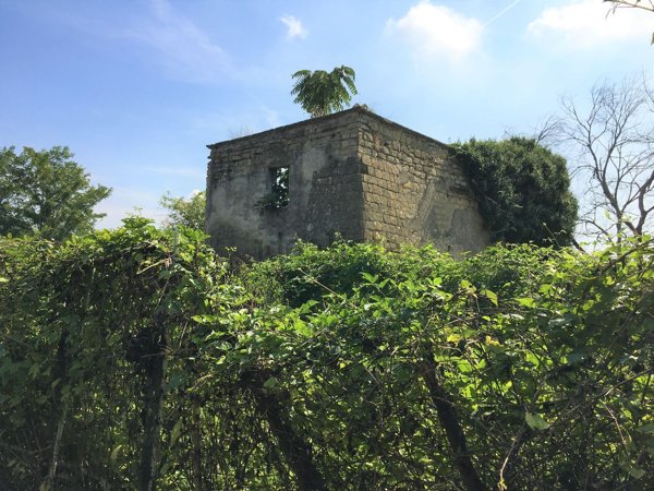 casa indipendente in vendita a Napoli in zona Capodimonte / Colli Aminei