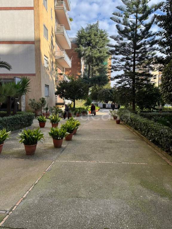 appartamento in vendita a Napoli in zona Capodimonte / Colli Aminei