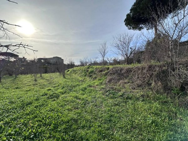 terreno agricolo in vendita a Napoli in zona Secondigliano