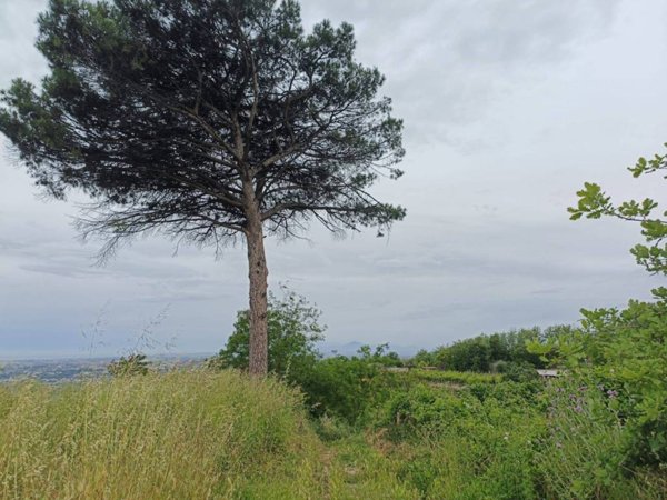 terreno agricolo in vendita a Napoli in zona Pianura
