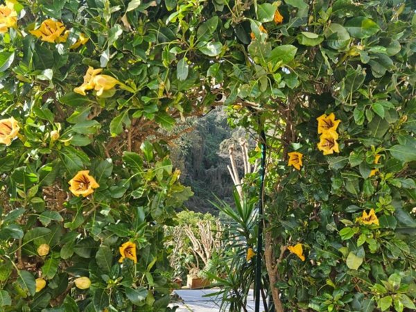 appartamento in vendita a Napoli in zona Posillipo