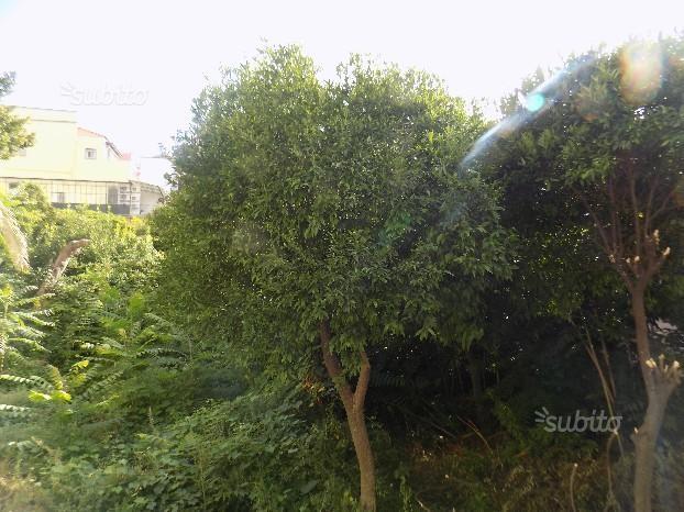 ufficio in vendita a Napoli in zona Avvocata