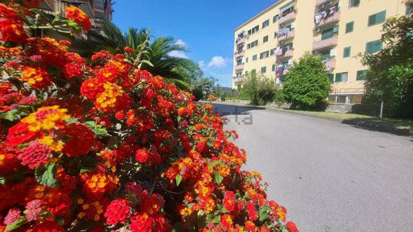 appartamento in vendita a Napoli in zona Bagnoli