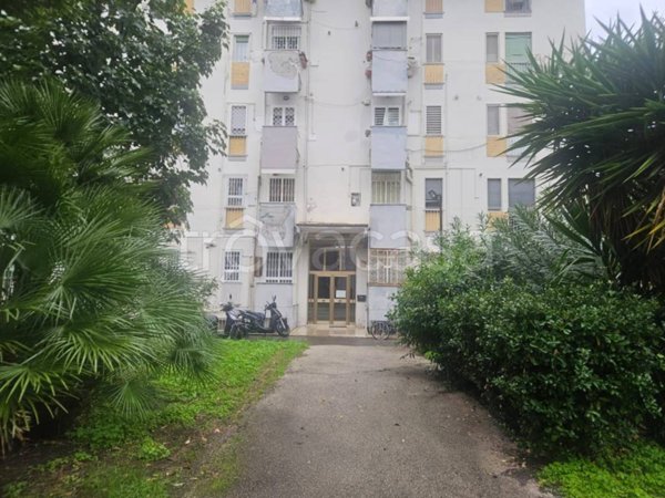 appartamento in vendita a Napoli in zona Fuorigrotta