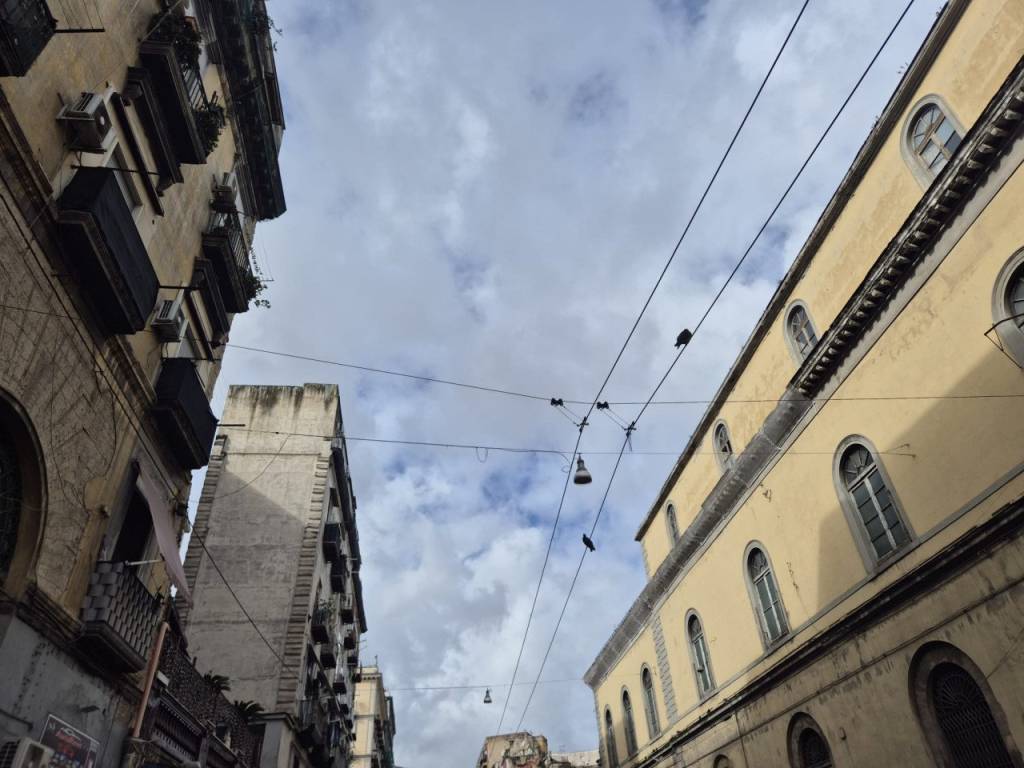 negozio in vendita a Napoli in zona Vicaria