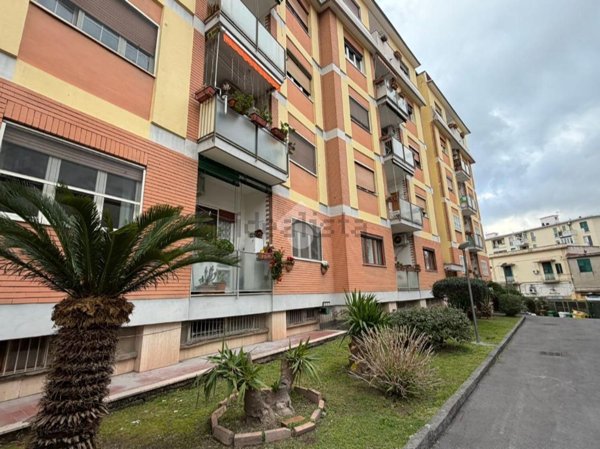 appartamento in vendita a Napoli in zona Capodimonte / Colli Aminei