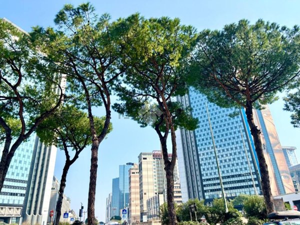 appartamento in vendita a Napoli in zona Vicaria