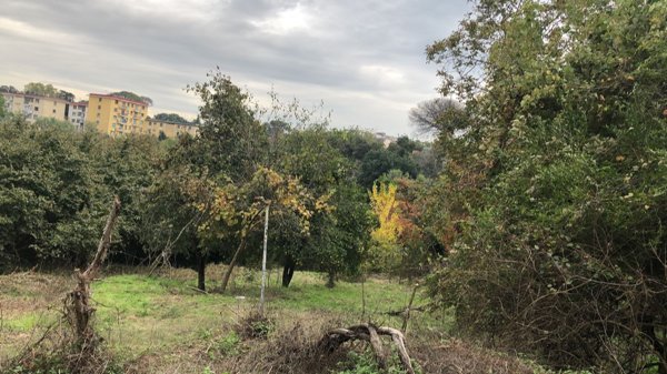casa indipendente in vendita a Napoli in zona Capodimonte / Colli Aminei