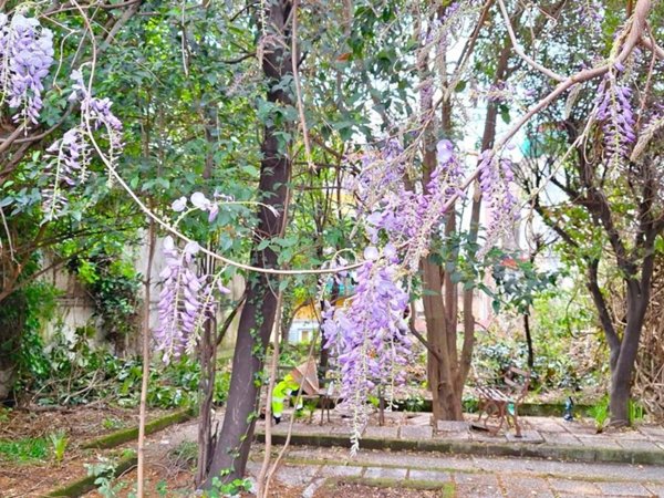 appartamento in vendita a Napoli in zona Stella