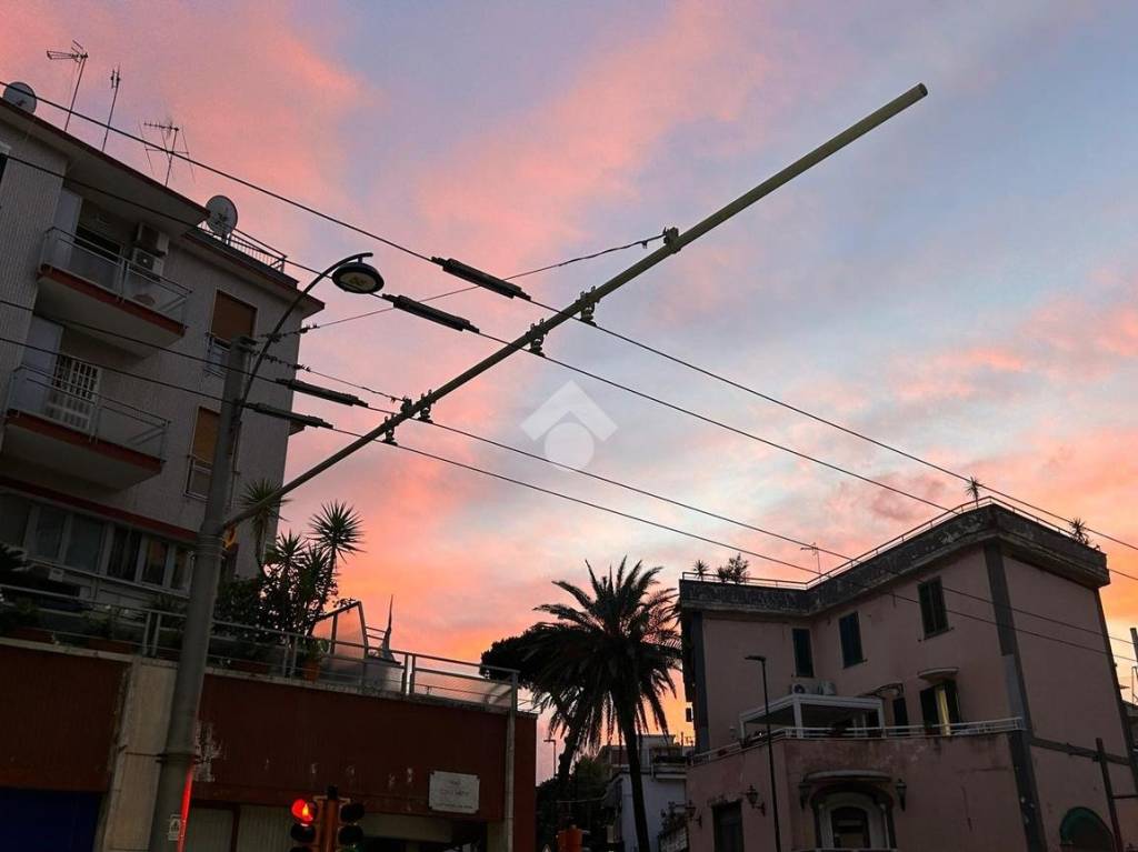 immagine annuncio 0 di 15