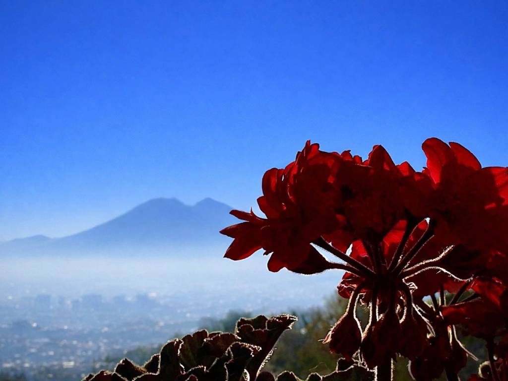 appartamento in vendita a Napoli in zona Camaldoli