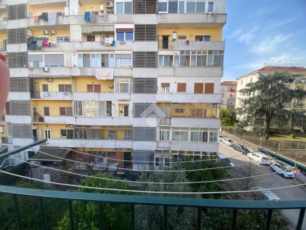 appartamento in vendita a Napoli in zona Poggioreale