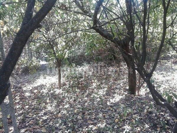 casa semindipendente in vendita a Napoli in zona Posillipo