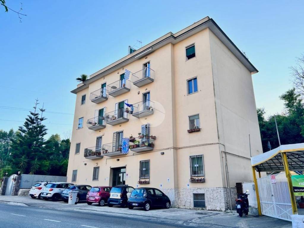 immagine annuncio 0 di 5