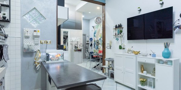 appartamento in vendita a Napoli in zona San Carlo all'Arena