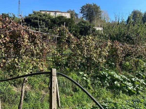 casa indipendente in vendita a Napoli in zona Bagnoli