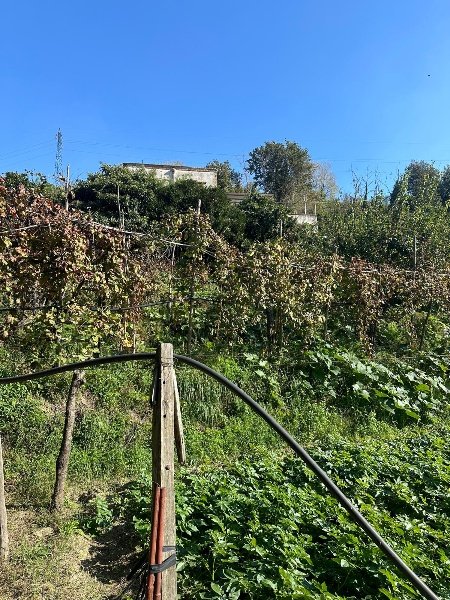 appartamento in vendita a Napoli in zona Scampia