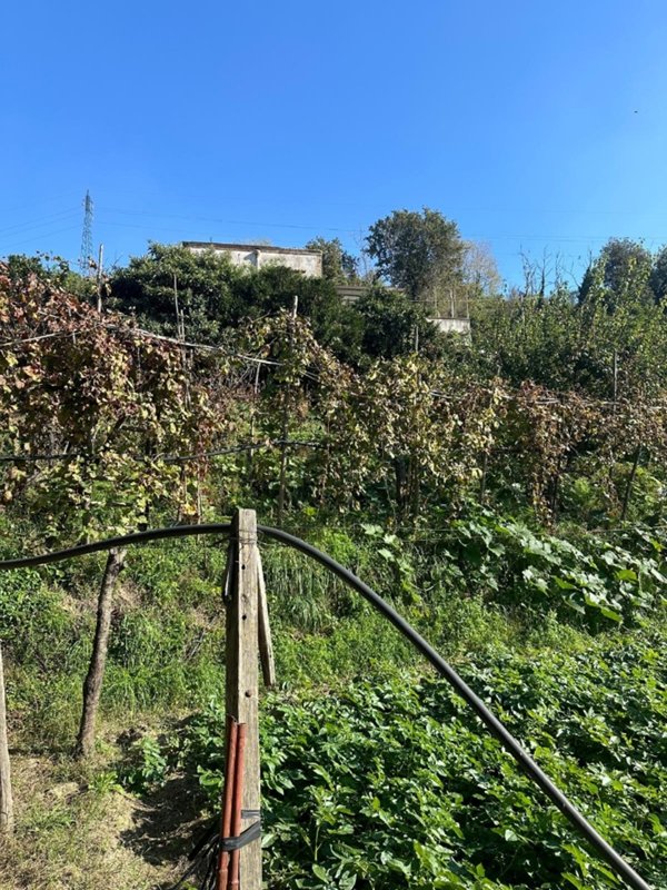 appartamento in vendita a Napoli in zona Bagnoli