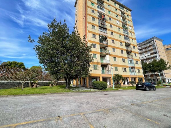 appartamento in vendita a Napoli in zona Scampia