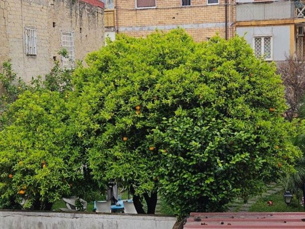 appartamento in vendita a Napoli in zona Piscinola