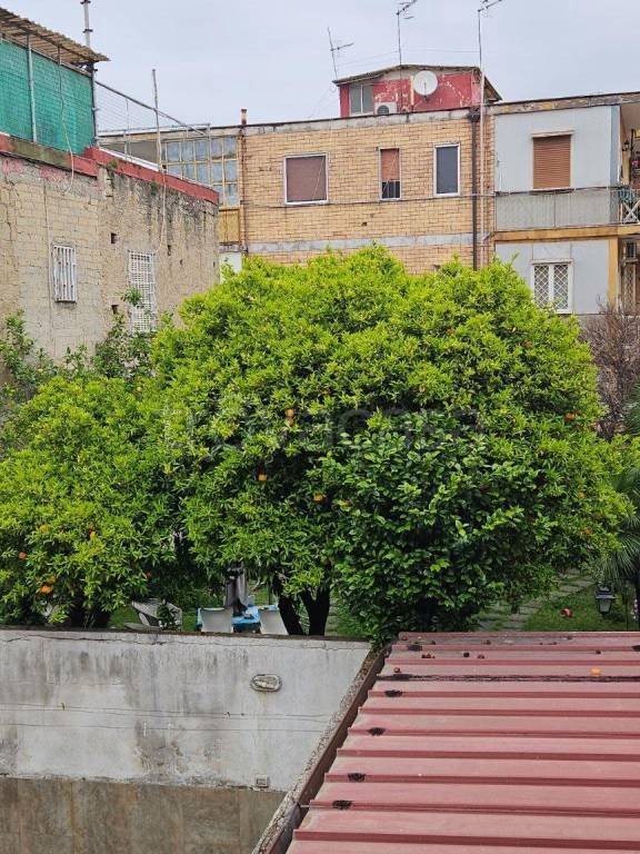 appartamento in vendita a Napoli in zona Piscinola