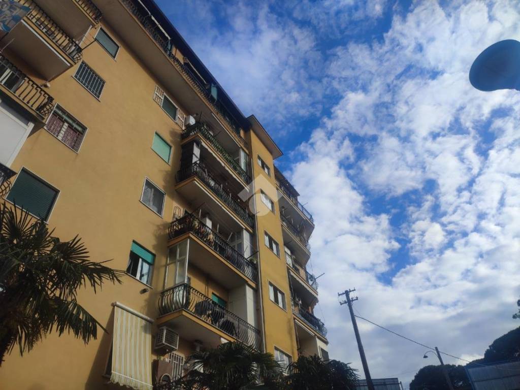 appartamento in vendita a Napoli in zona Capodimonte / Colli Aminei