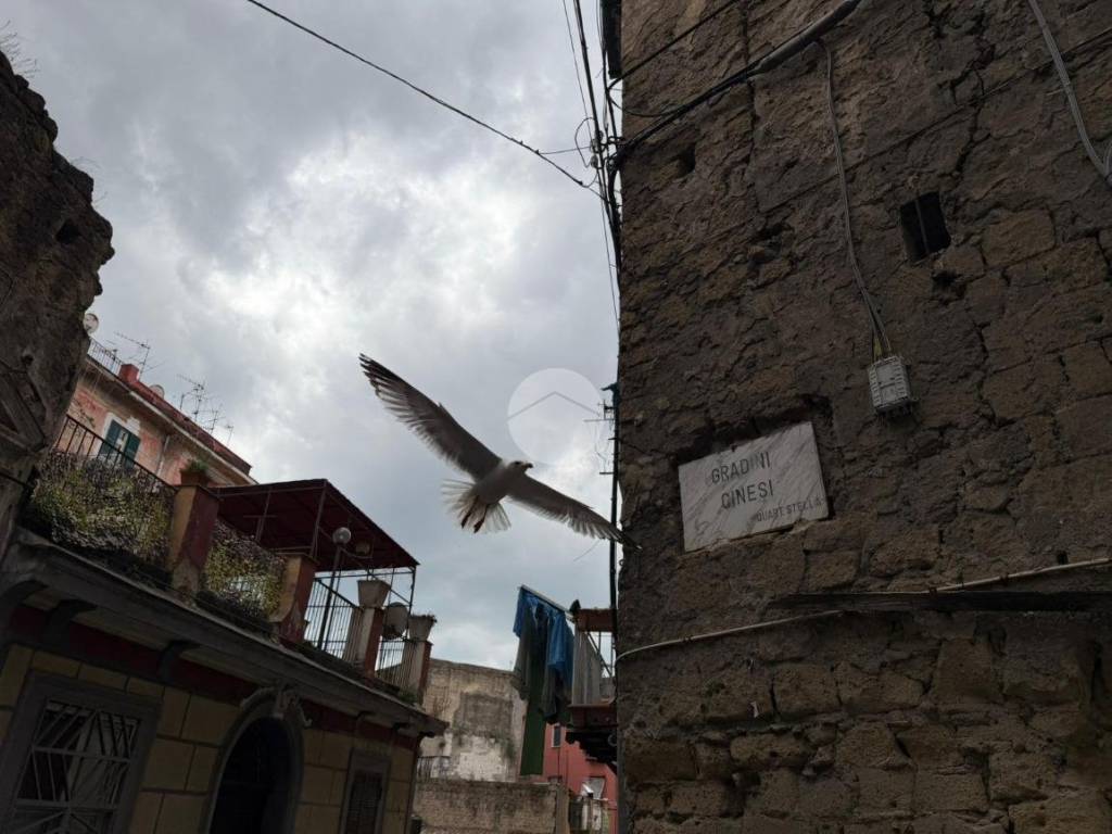 appartamento in vendita a Napoli in zona San Carlo all'Arena
