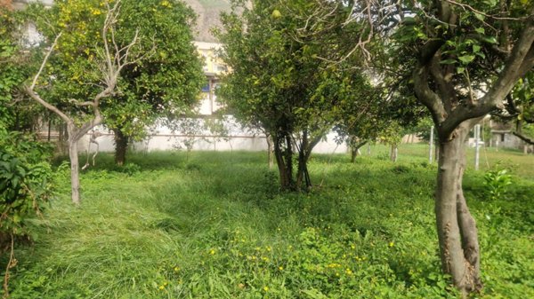 terreno agricolo in vendita a Napoli in zona Soccavo