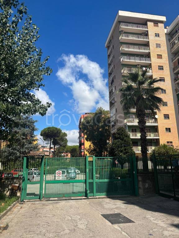 appartamento in vendita a Napoli in zona Scampia