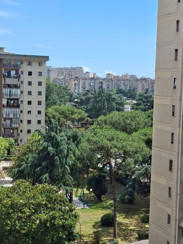 appartamento in vendita a Napoli in zona Scampia