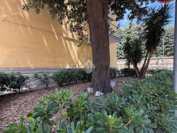 appartamento in vendita a Napoli in zona Capodimonte / Colli Aminei