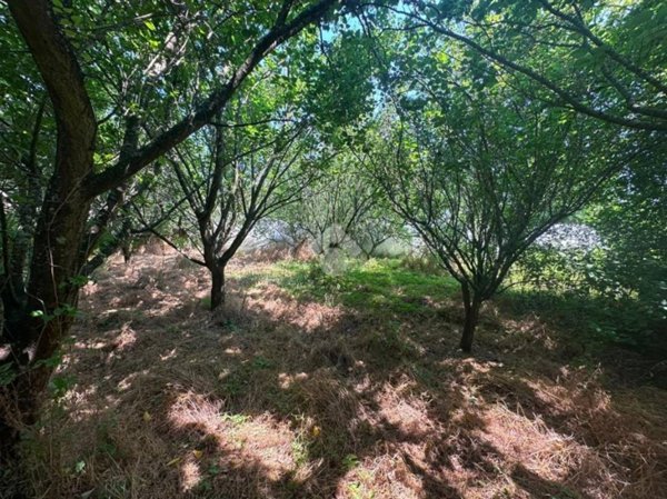terreno agricolo in vendita a Napoli in zona Bagnoli