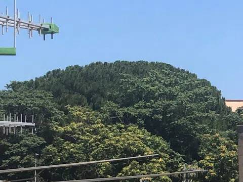 appartamento in vendita a Napoli in zona Stella