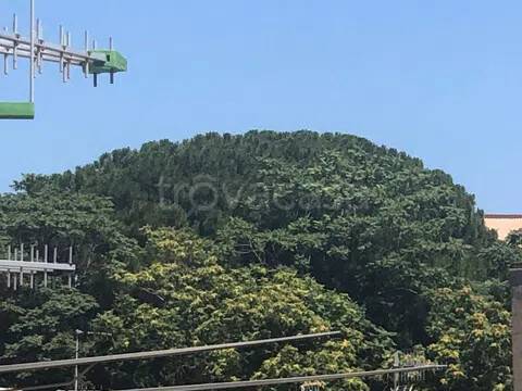 appartamento in vendita a Napoli in zona Stella