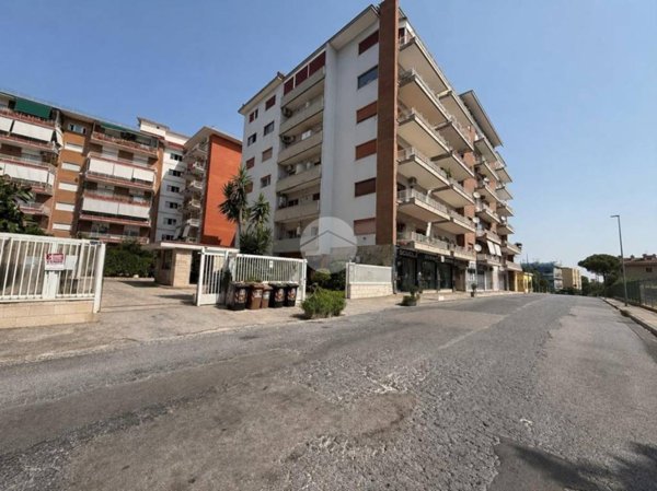 immagine annuncio 0 di 15